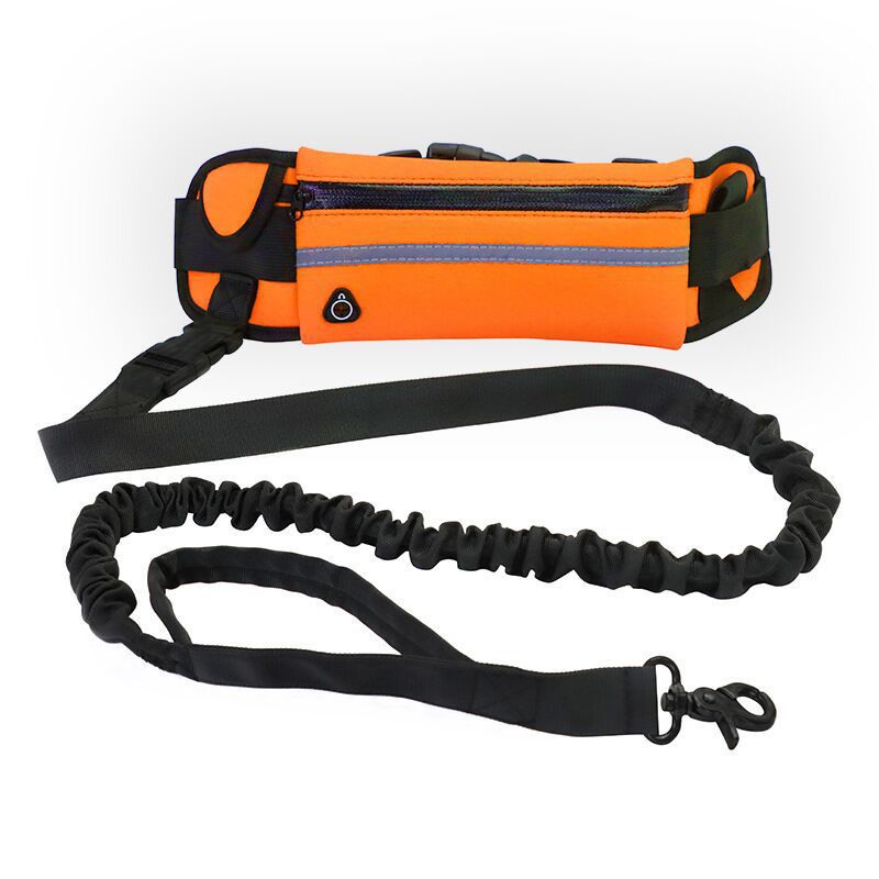 Pet Purse Leash Convenient Design For Walking