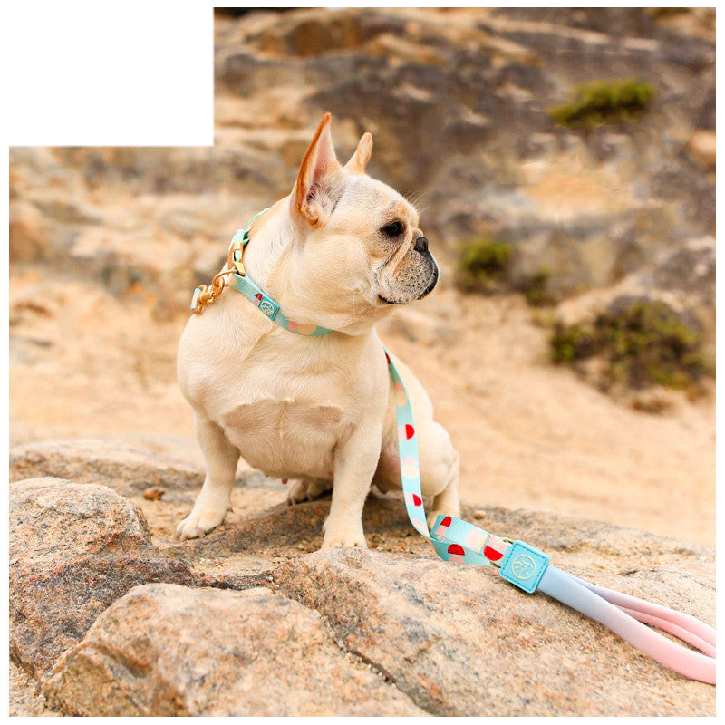 Fashion Y Shaped Chest Strap Pet Leash Adjustable