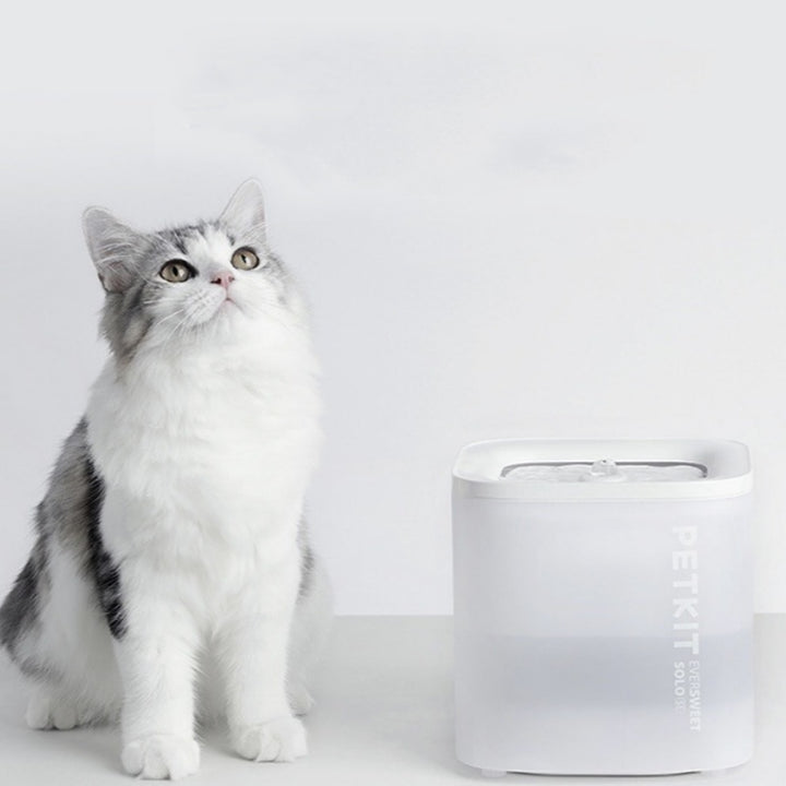 Wireless Smart Water Dispenser with Filter for Pets