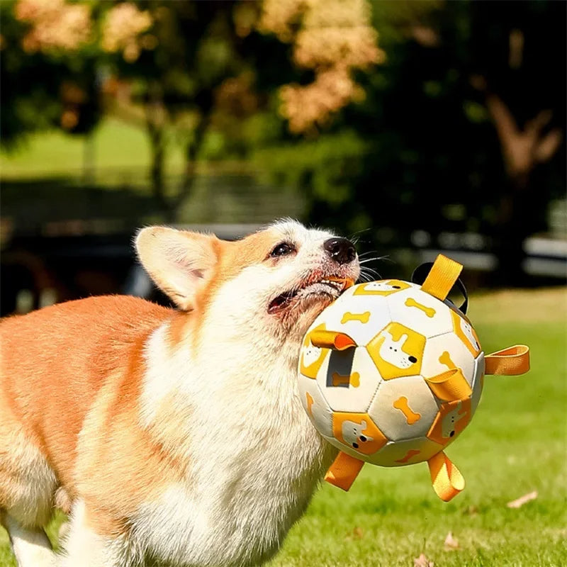 Interactive Soccer-Style Chew Ball Toy for Pets