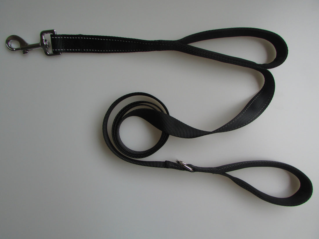 Double Handle Pet Leash Durable Control