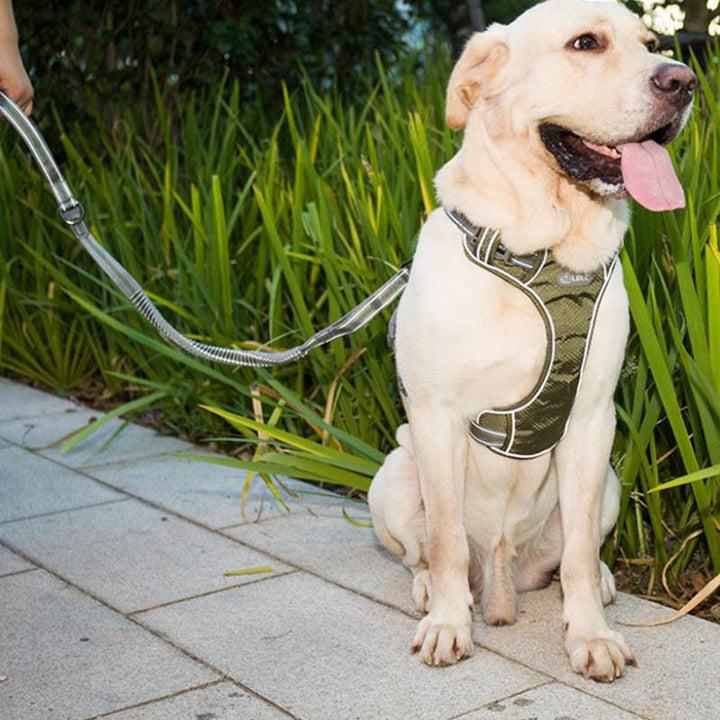 Fluorescent Elastic Retractable Pet Leash Anti-Burst Durable