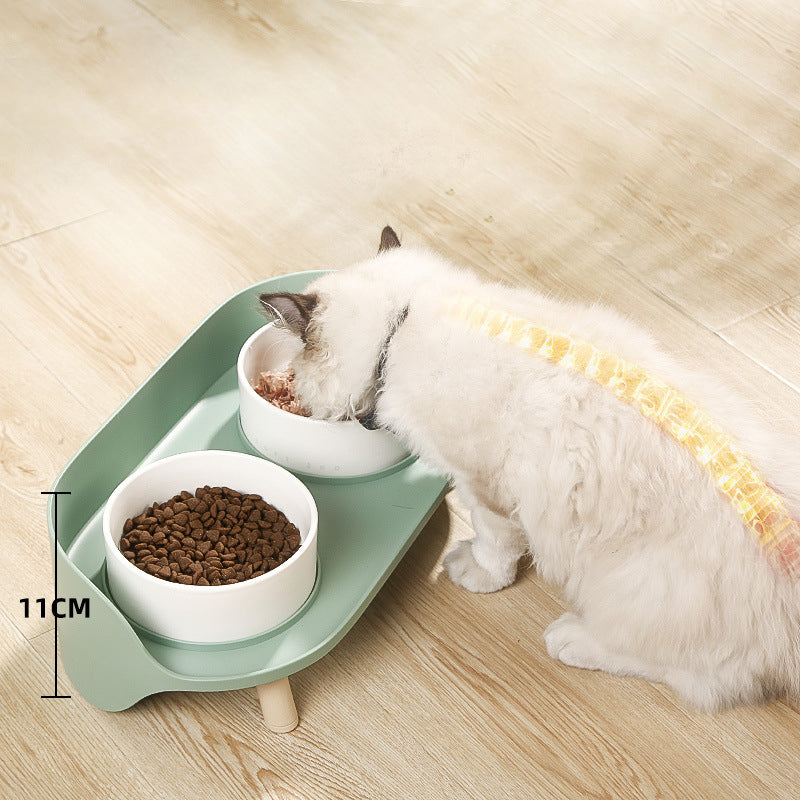 Tilted Double Pet Bowl with Adjustable Spill-Proof Design