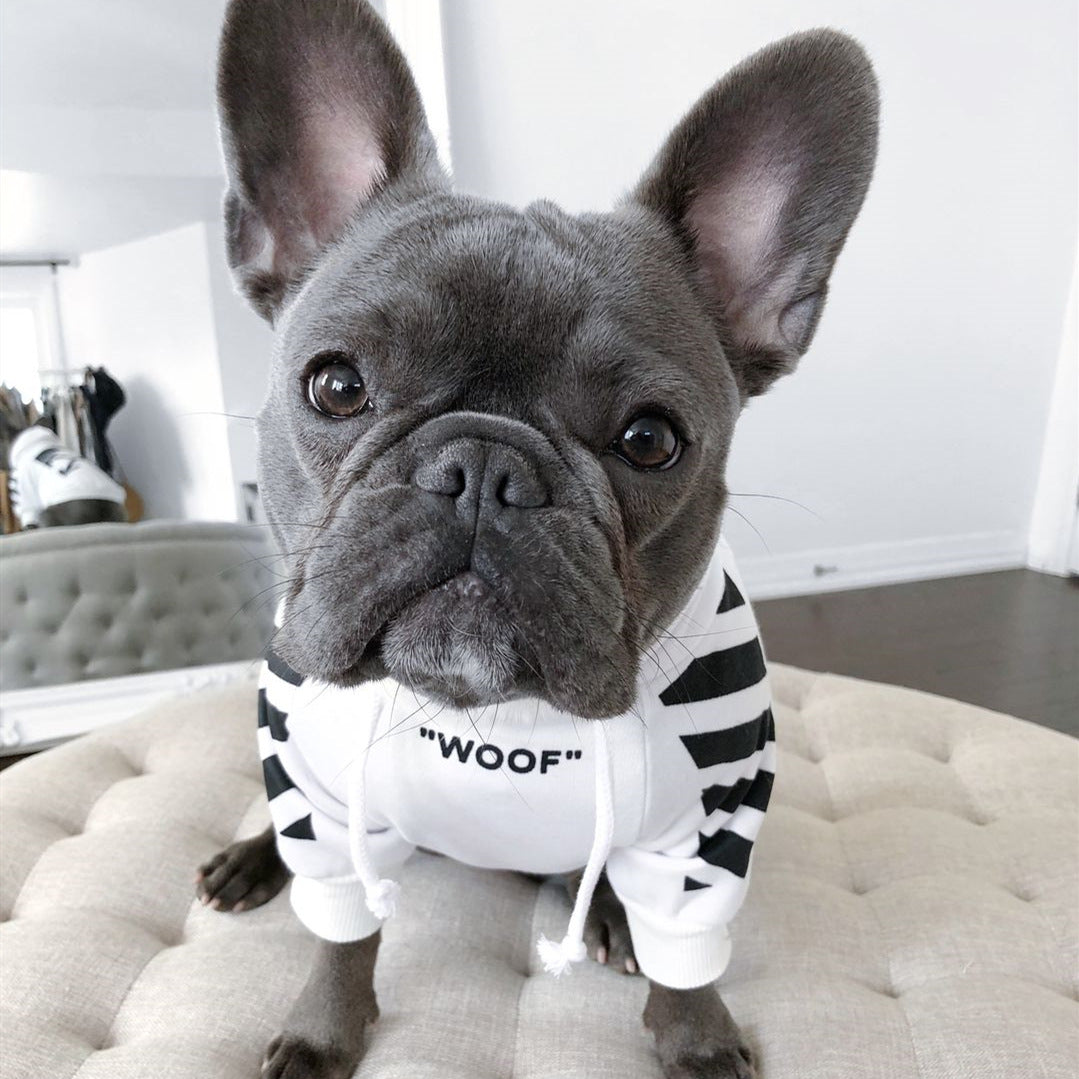 Autumn Winter Sports Pet Sweater for Small Breeds