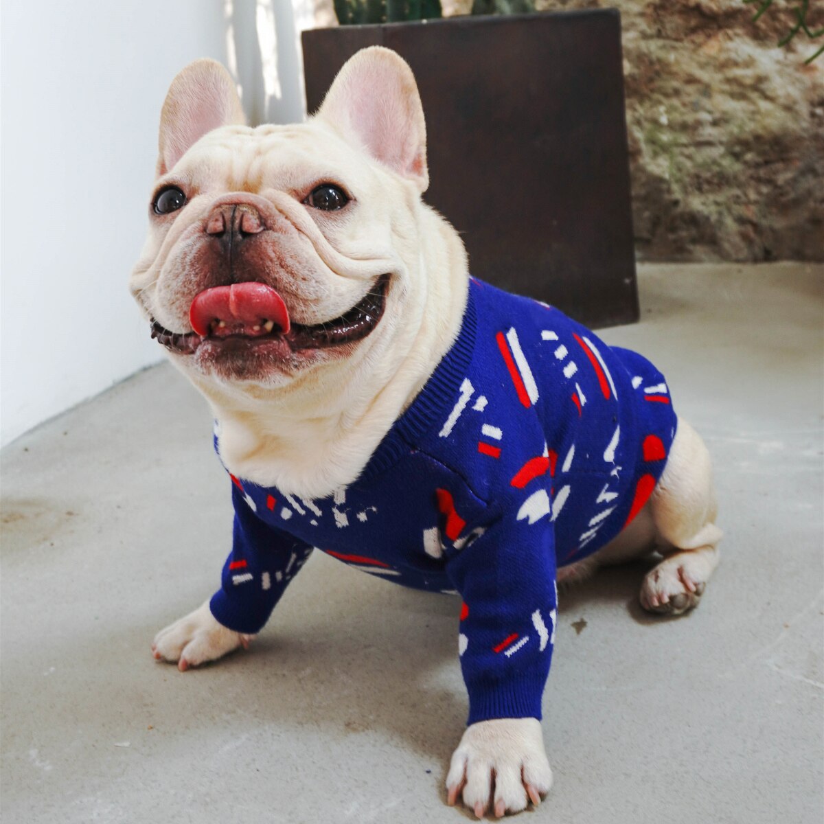 Knitted Sweater Cozy Winter Pet Wear