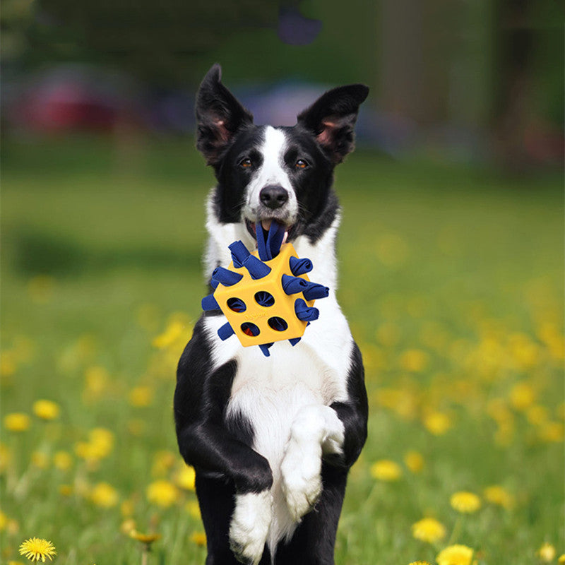 Durable Cube Chew Toy for Pet Dental and Play