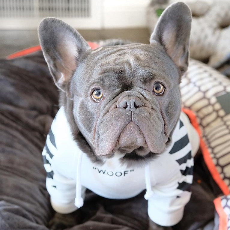 Autumn Winter Sports Pet Sweater for Small Breeds