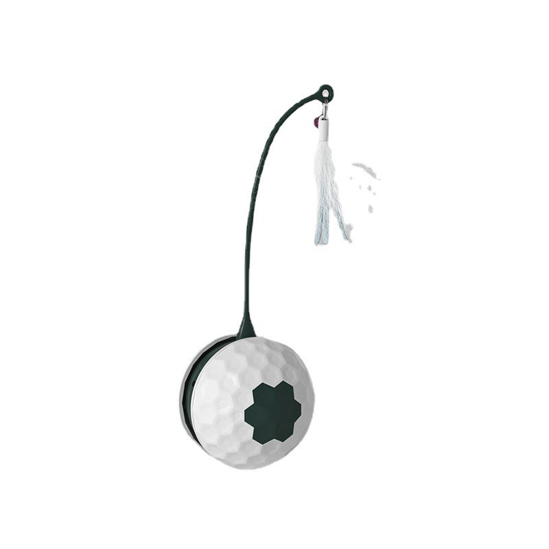 Electric Interactive Bite-Resistant Toy for Pets