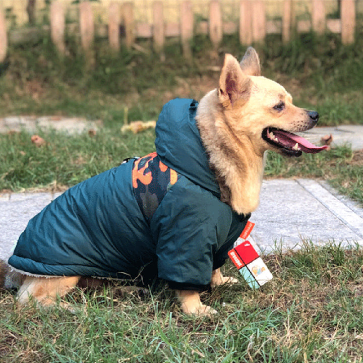 Warm Pet Coat With Traction Rope Design