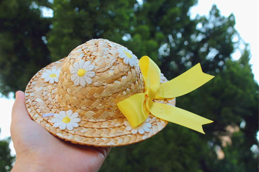 Mesh Flower Embroidered Dress Pet Outfit