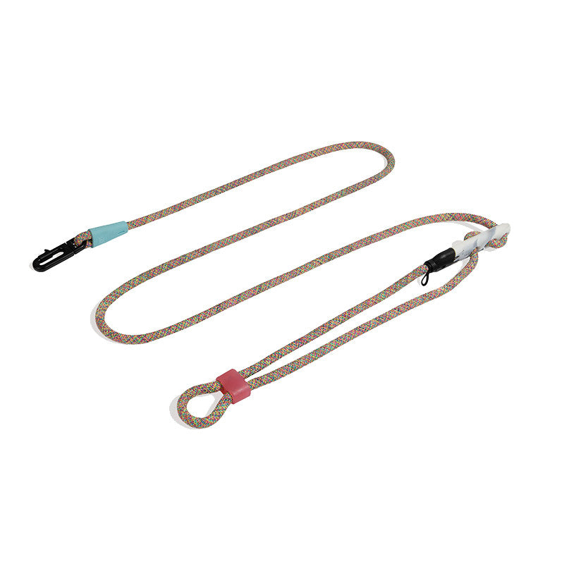 Fashionable Minimalist Pet Slant Leash