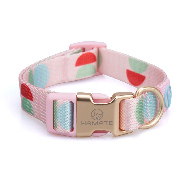 Fashion Y Shaped Chest Strap Pet Leash Adjustable