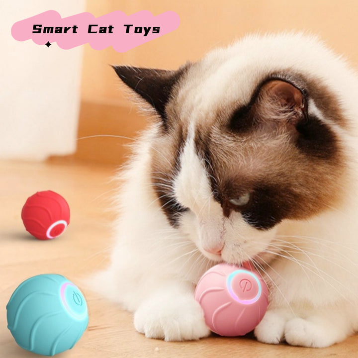 Smart USB Rechargeable Rolling Interactive Ball Toy for Pets