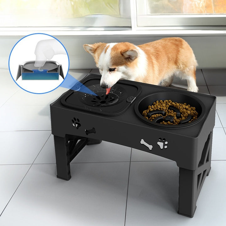 Stainless Steel Double Pet Feeding Bowl with Stand