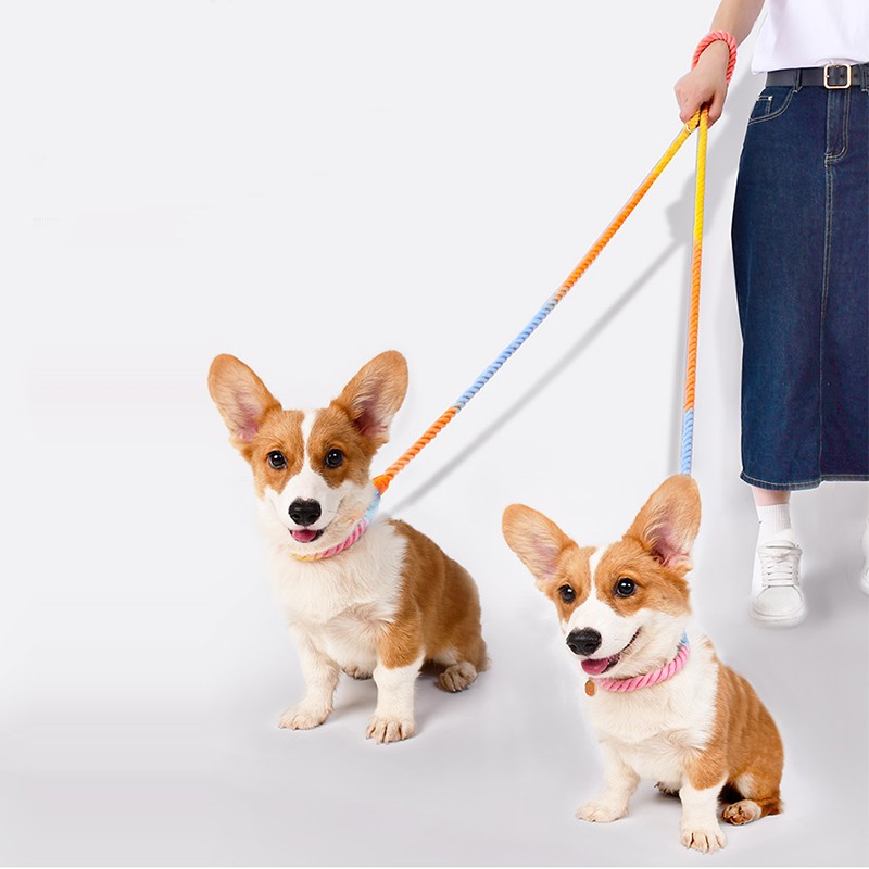 Multi Functional Dual Head Pet Leash Adjustable Durable