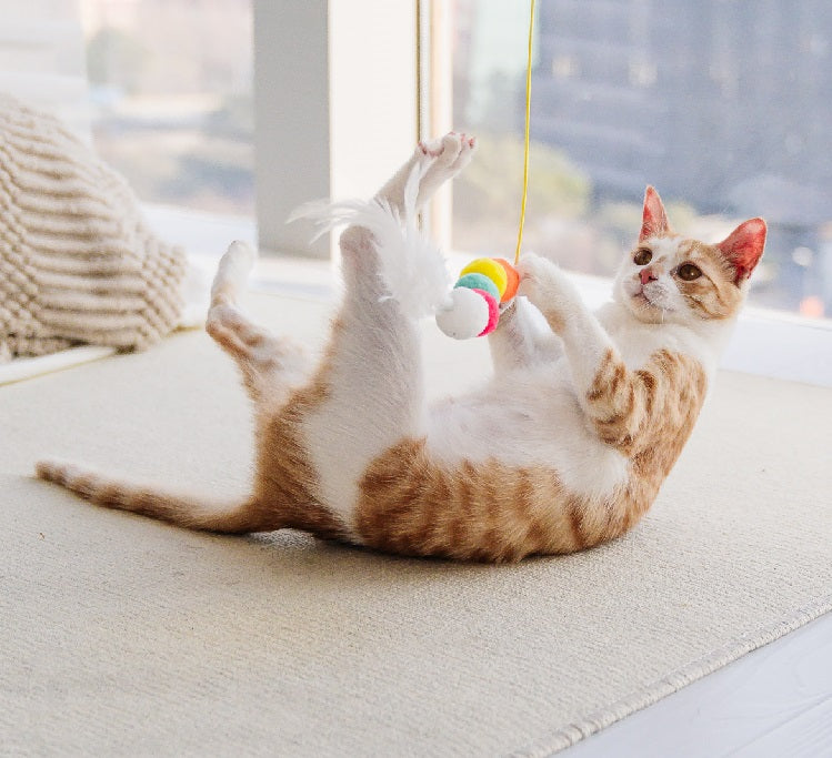 Interactive Telescopic Rope Mouse Toy