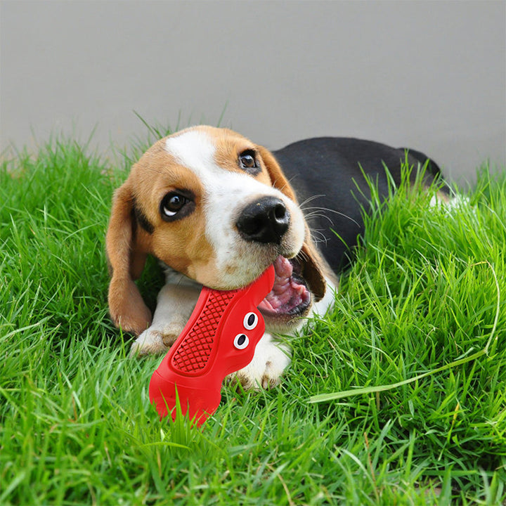 Natural Rubber Teething and Chew Toy for Pets