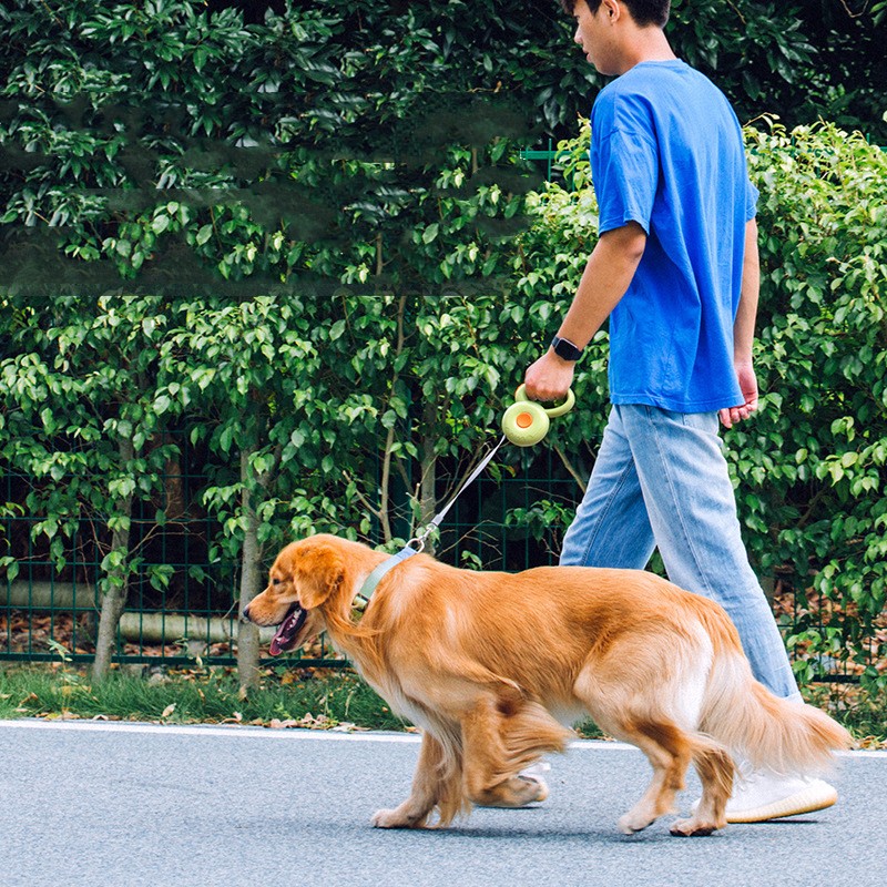 Retractable Reflective Pet Leash Durable Rope