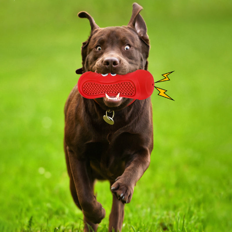 Natural Rubber Teething and Chew Toy for Pets