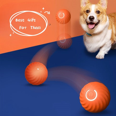 Durable Rubber Chew Ball Toy for Pets
