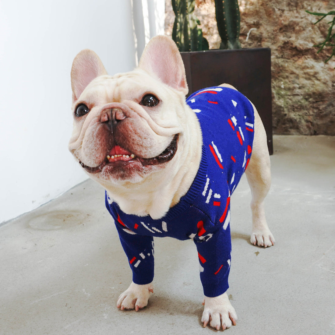 Knitted Sweater Cozy Winter Pet Wear
