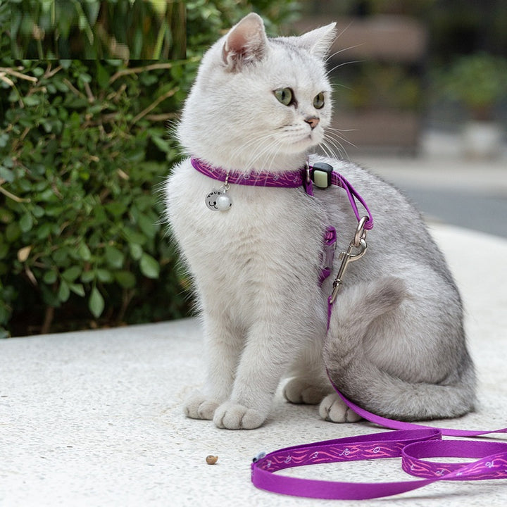 Multi-Functional Pet Bell Chest Strap Harness Leash