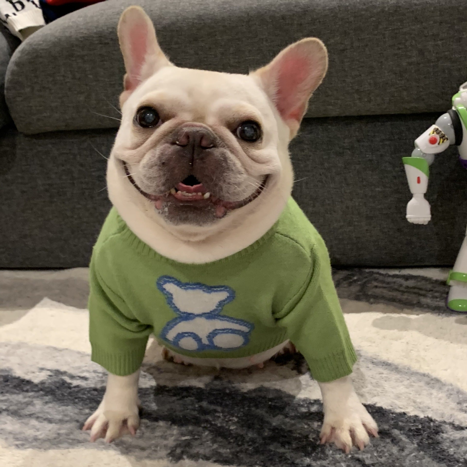 Cozy Fall Winter Sweater Comfortable Pet Wear