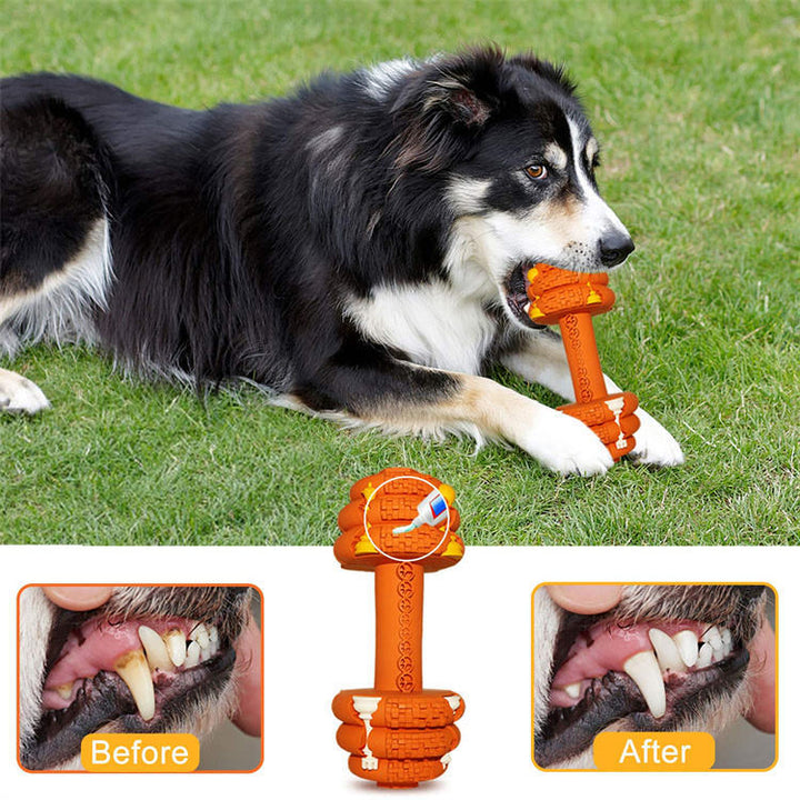 Durable Chew Toy Interactive Tooth Cleaning Pet Toy