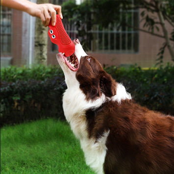 Natural Rubber Teething and Chew Toy for Pets