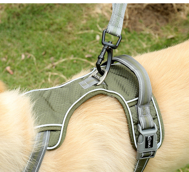 Fluorescent Elastic Retractable Pet Leash Anti-Burst Durable