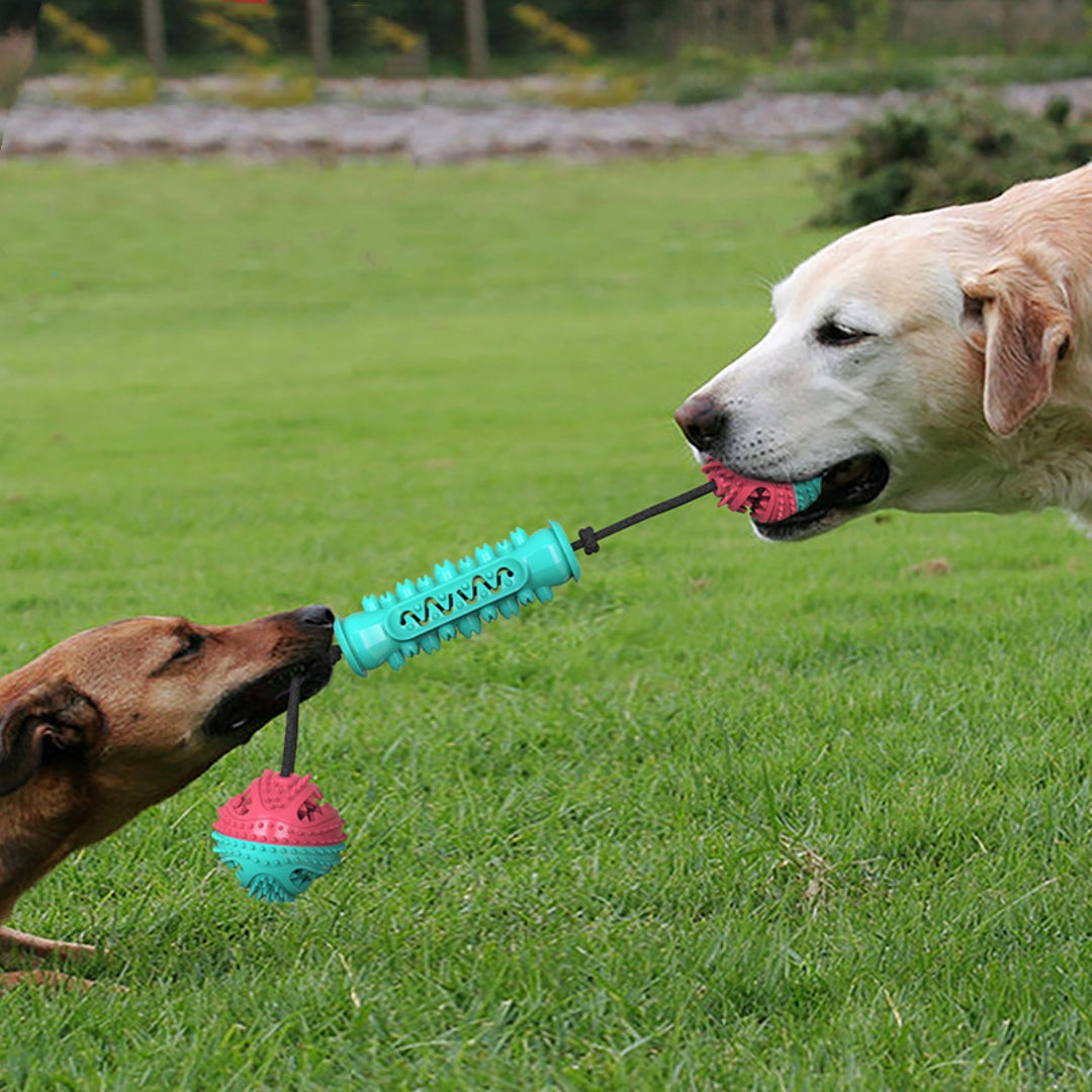 Durable Chew Stick for Pet Teeth Cleaning