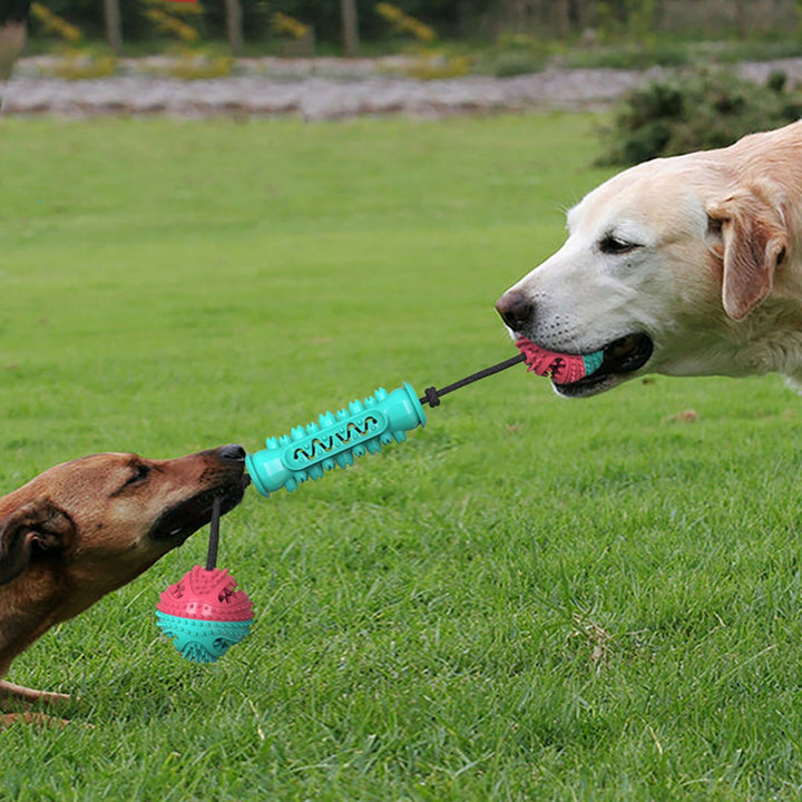 Durable Chew Stick for Pet Teeth Cleaning