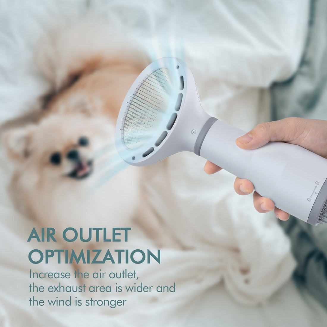 Pet Grooming Dryer and Slicker Brush for Hair Care