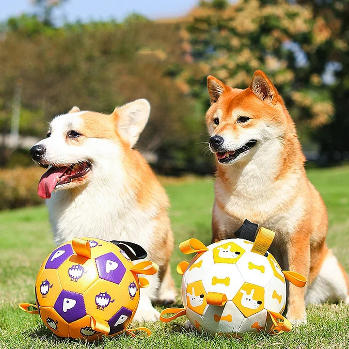 Interactive Soccer-Style Chew Ball Toy for Pets