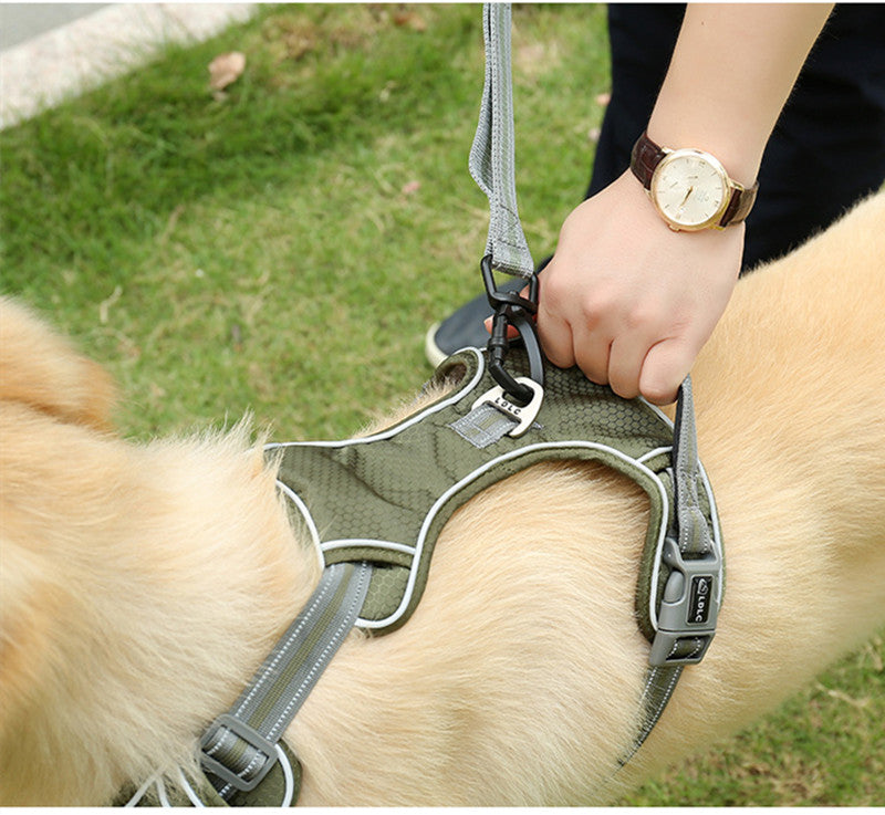 Fluorescent Elastic Retractable Pet Leash Anti-Burst Durable