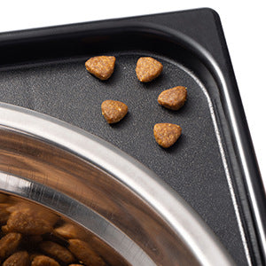 Elevated Pet Feeding Bowl with Neck Protection for Medium and Large Breeds