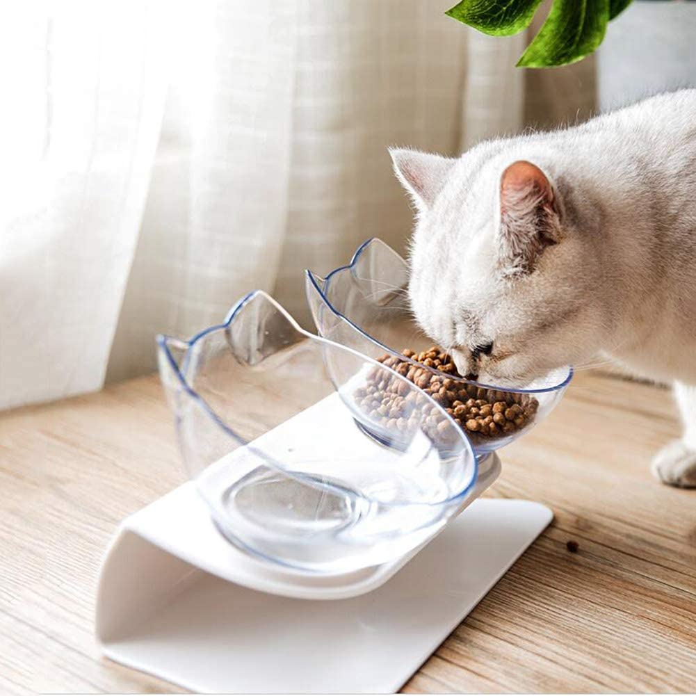 Non-Slip Elevated Double Pet Bowl for Spine Protection