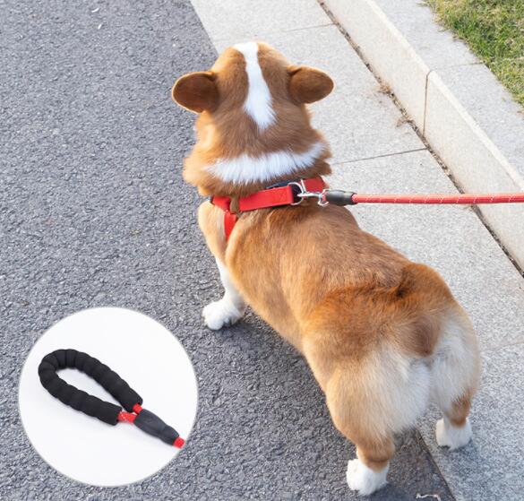 EVA Reflective Pet Leash And Collar Set