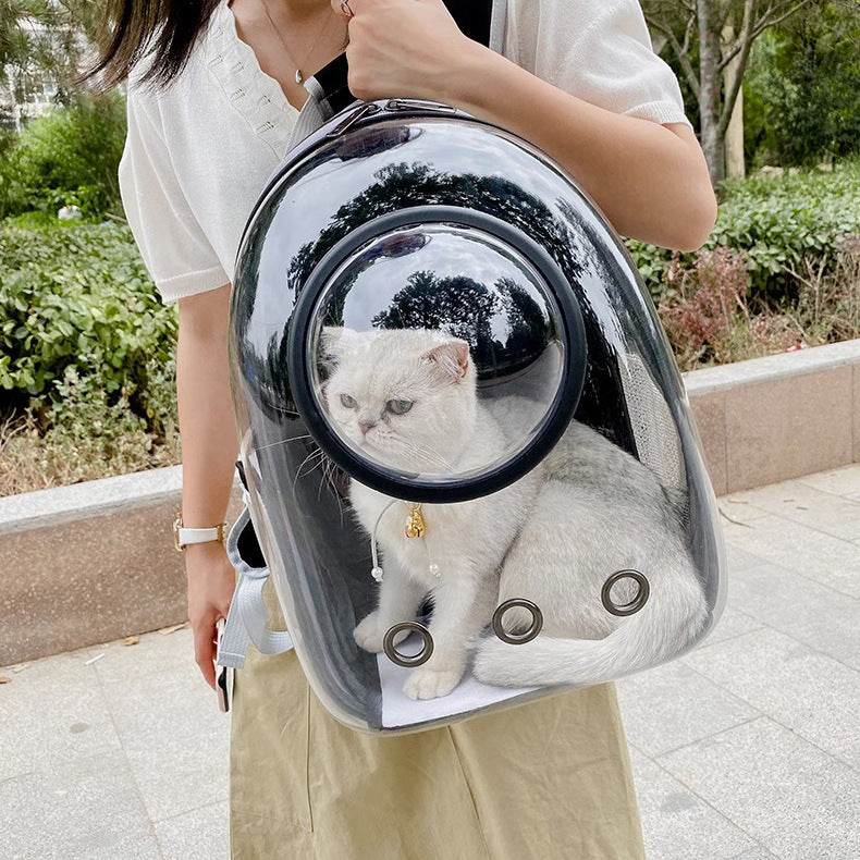 Transparent Skylight Pet Backpack Large Breathable Carrier