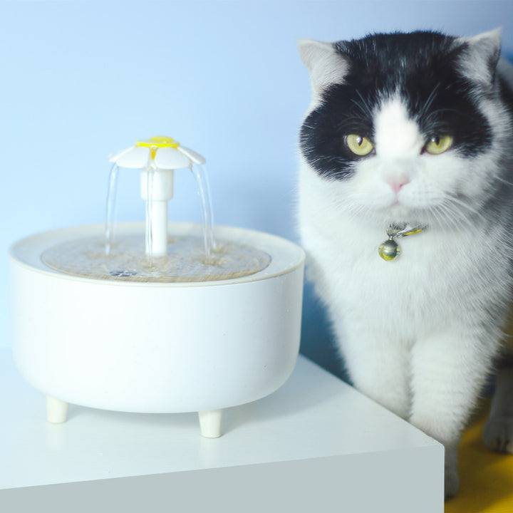 Automatic Loop-Filtering Water Dispenser for Pets