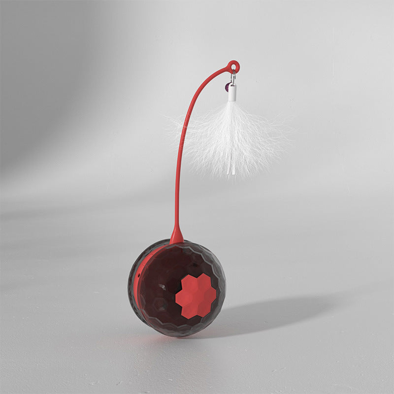Electric Interactive Bite-Resistant Toy for Pets