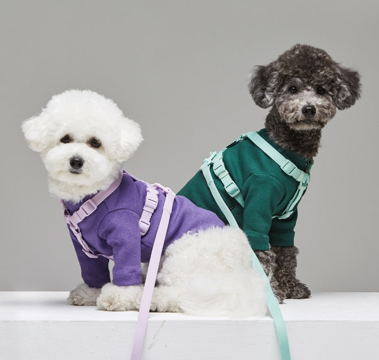 Macaron Style Pet Leash Wind-Resistant