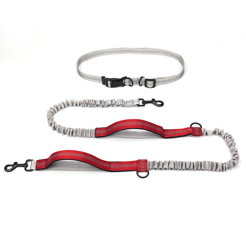 Outdoor Running Pet Leash Durable Adjustable Design