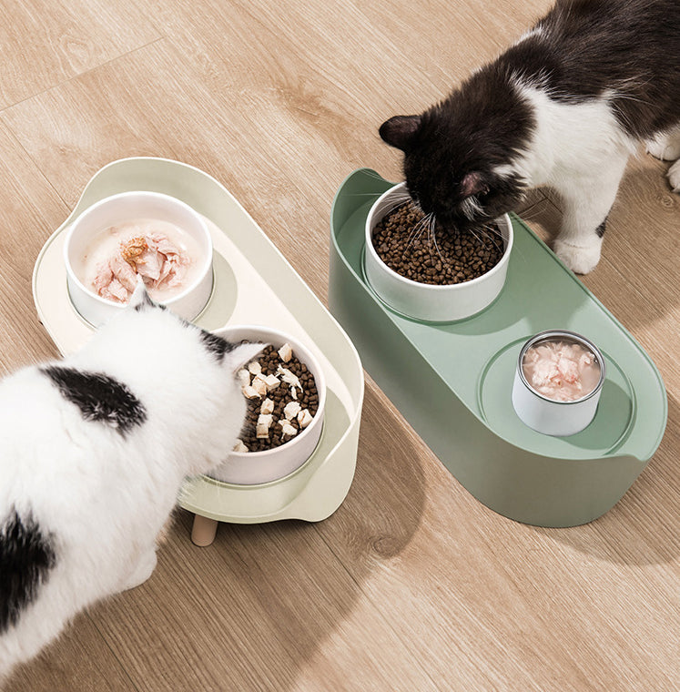 Tilted Double Pet Bowl with Adjustable Spill-Proof Design