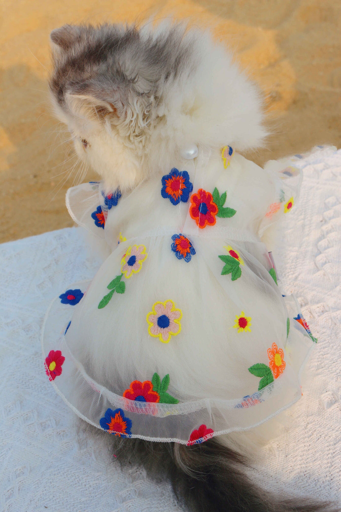 Mesh Flower Embroidered Dress Pet Outfit