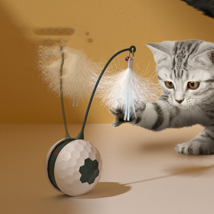 Electric Interactive Bite-Resistant Toy for Pets