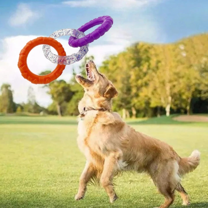 Floating Durable Water Flying Disk Toy for Pets