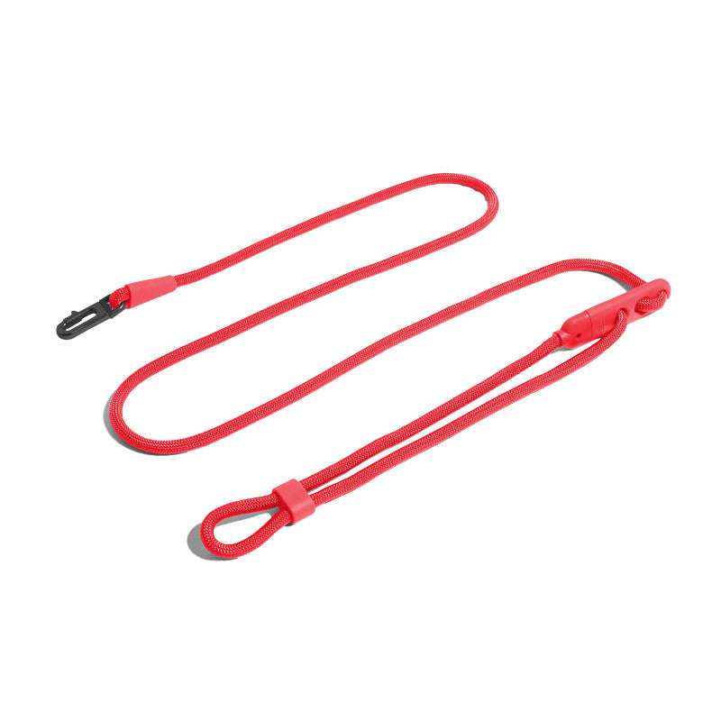 Fashionable Minimalist Pet Slant Leash