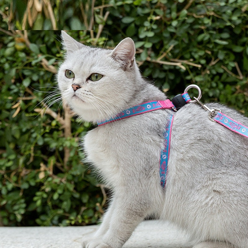 Multi-Functional Pet Bell Chest Strap Harness Leash
