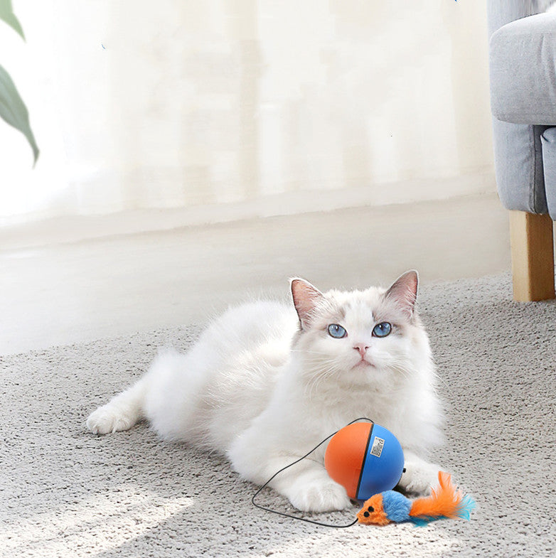 Automatic Interactive Teeth Grinding Toy Ball for Pets